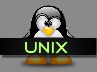 Выставляем разрешения UNIX