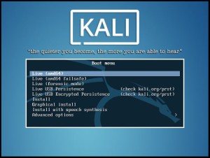 kali_install_1